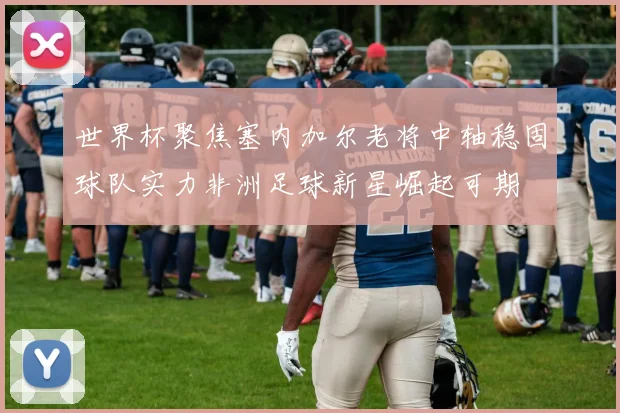 世界杯聚焦塞内加尔老将中轴稳固球队实力非洲足球新星崛起可期