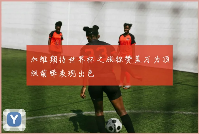 加维期待世界杯之旅称赞莱万为顶级前锋表现出色